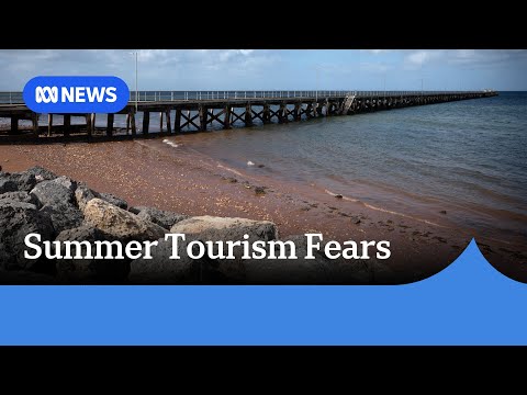 YouTube video thumbnail: Fears SA Algal Bloom Will Ruin Summer Tourism