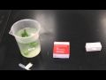 Wet Mount Slide Preparation Techniques