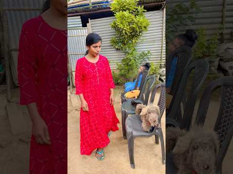 বাবার বিছানায় কুকুর ছানাকে ঘুম পাড়ালো 😜#shorts #comedy #ytshorts #funnyvideo #funnycartoon