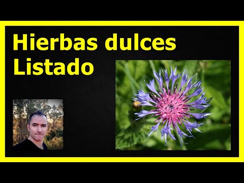 HIERBAS DULCES (LISTADO)