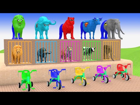 Long Slide Game With Cow Elephant Gorilla Hippopotamus Tiger 3d Animal Game Funny 3d Animals