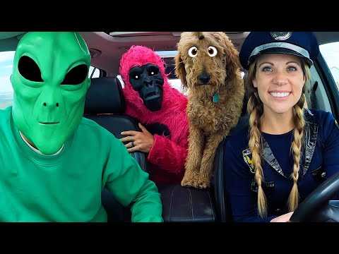 Puppies Surprise Police Dancing Car Ride Chase!