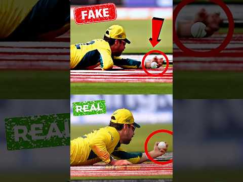 Travis Head Catch Controversy: क्या Not-Out थे Rohit Sharma ? ??#cricketnews #worldcup