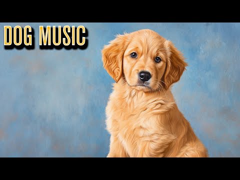 Comforting Dog Music for Rescues – Healing Sound for New Beginnings