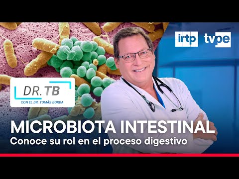 Conoce la importancia de la microbiota intestinal