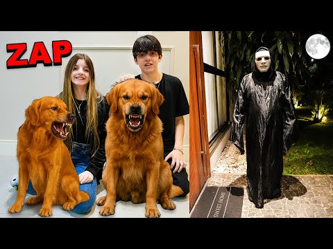 AGORA O ZAP NÃO ENTRA MAIS AQUI! NOSSOS CÃES VÃO PEGAR ELE!