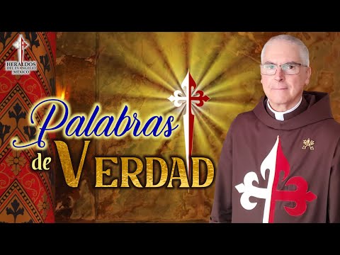 🔅 ¿Cómo obtenemos la Gracia de Dios? / P. Javier Pérez, EP