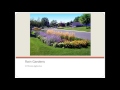Water Treatment and Rain Gardens