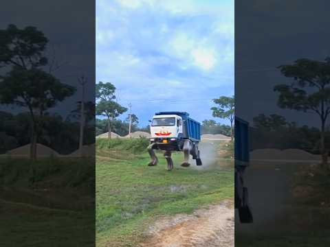 Tata Signa 4830.TK dumper 16Chakka Dumper ❌️ #sujal13 #automobile #aivideo #ai #aiediting