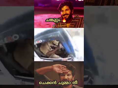 സാറിന് എജ്ജാതി അടി!! ആ ചങ്കുറ്റം 🔥!! plz subscribe #shorts #kerala #shortsvideo