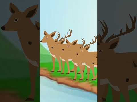 Sahee EP 2 | One Minute Story | Story | #animals #moralstory