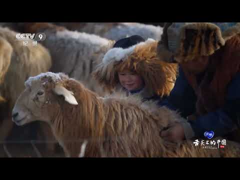 在冬牧场里蔬菜甚至比肉类还要珍贵《舌尖上的中国》第四季 03【CCTV纪录】