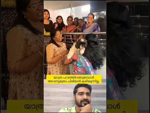 നാല് കാലുള്ള എൻ്റെ മാലാഖ. 😇 #pets #shorts #love #funny