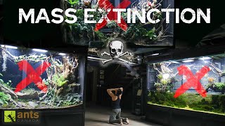 A Tragic Mass Extinction Has Happened in My Rainforest Vivariums
