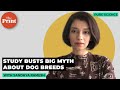 Understanding Dog Behavior and Breeds
