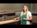 Exploring the U.S. Judicial Branch