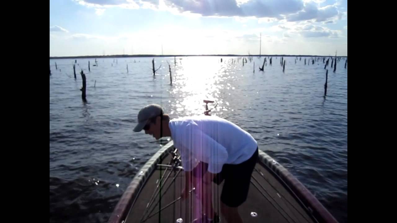 Mike Iaconelli Impression and Big Schooling Largemouth Bass