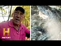 Alligator Hunting Strategies and Outcomes