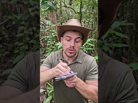 Tuto : BOWHUNTING 🏹 #mentawai #tribe #bow #traditional #culture #plants #forest #tutorial #nature