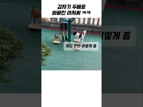 단골 하나 생긴 아저씨 ㅋㅋ