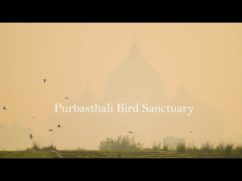 Purbasthali Bird Sanctuary (Chupi Pakhiralay) . Birds & wildlife photography/Videography (Part 1) .