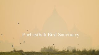 Purbasthali Bird Sanctuary (Chupi Pakhiralay) . Birds & wildlife photography/Videography (Part 1) .