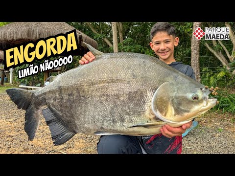 PESCARIA E MUITA RESENHA COM AMIGOS NO ENGORDA.