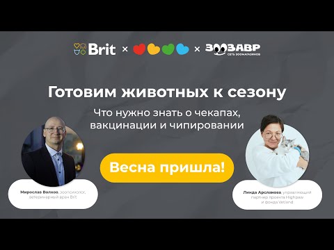 КЛЕЩИ... БЕШЕНСТВО... Весна – (не) время для паники!