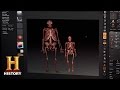 Understanding Bigfoot Through 3D Modeling