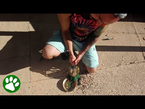 Man breaks feeder to save bird