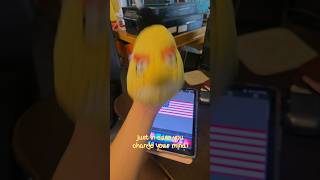 The US flag redesign 🇺🇸🔥