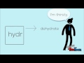 Understanding Hydrophobia and Water Concepts