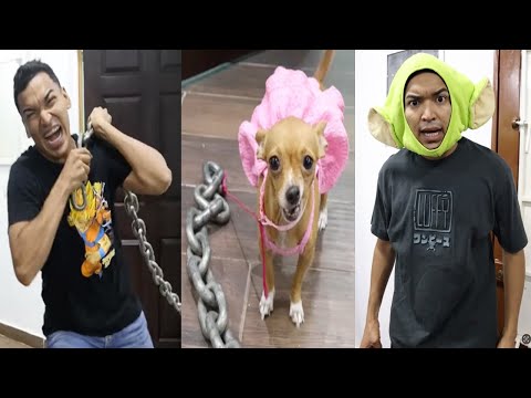 LA PESADA FIERA DE LARIN | VIDEOS DIVERTIDOS DE LARIN Y SUS AMIGOS TIKTOK #humorsalvadoreño