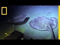 Exploration of the Deep Sea