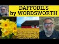 The Impact of Daffodils on the Poet