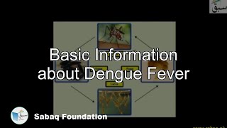 Basic Information about Dengue Fever