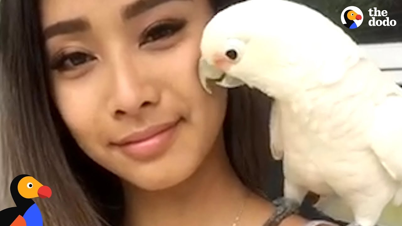 Rescue Cockatoo Loves Sunbathing and Dancing With Mom
