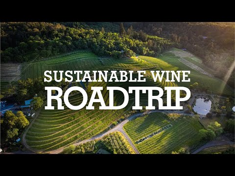 Discover the Ultimate Sustainable Wine Adventure in California