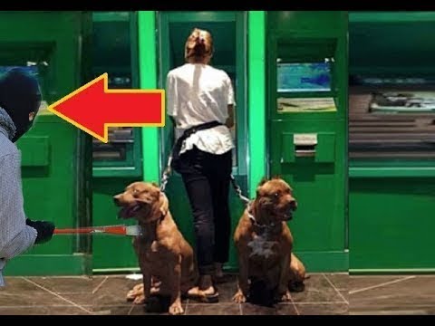 Dogs Protecting Their Owners - Dogs that are better than guns! [Dog Training] # 2