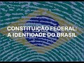 Understanding the Brazilian Constitution