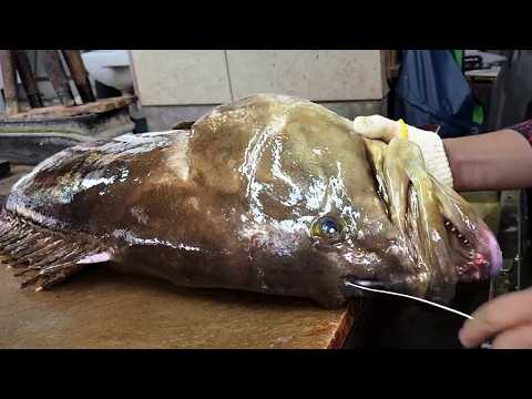 1,000,000円高級魚を捌く青年 How to prepare huge Longtooth grouper