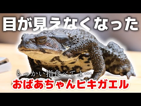 みんなにずっと黙ってました…