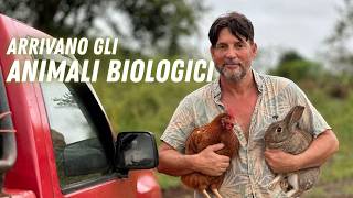 Heaven One cambia tutto: arrivano gli animali biologici