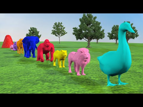 Paint Animals Elephant Cow Tiger Lion Gorilla Rabbit Bear Fountain Crossing Animal Game