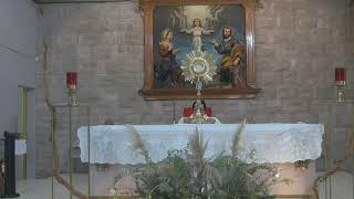 SANTA MISA MARTES 22 DE JULIO 2025 PARROQUIA SAGRADA FAMILIA