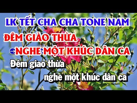 Lk Nhạc Tết Karaoke Cha Cha Tone Nam | Đêm Giao Thừa Nghe Một Khúc Dân Ca – Ước Nguyện Đầu Xuân