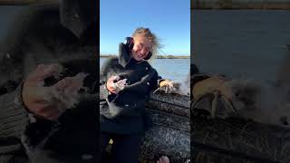 Harvesting the Christmas Goose with Isabel Rose