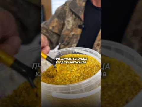 Зачем пыльцу смешивают с медом