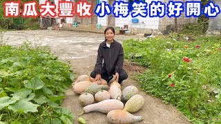 種的南瓜大豐收了，小梅太有成就感了笑的好開心，感受到屬於自己豐收的喜悅