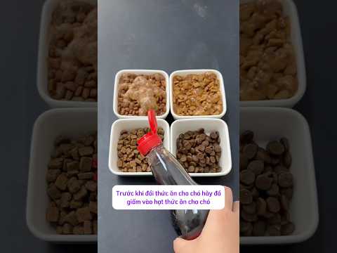 Một chai coca là test chất lượng được ngay #thucung #thucanchomeo #dongvat #dogsnacks